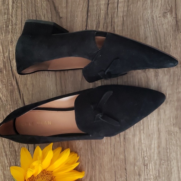 Suede Pointy Toe Shoes - Picture 3 of 7